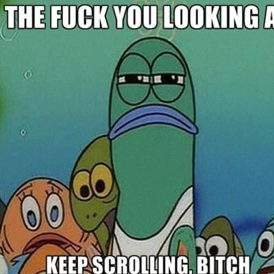 penguecula's profile picture. Here for basic bullshit. Follow back and do the honours.