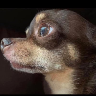 aminosup's profile picture. 