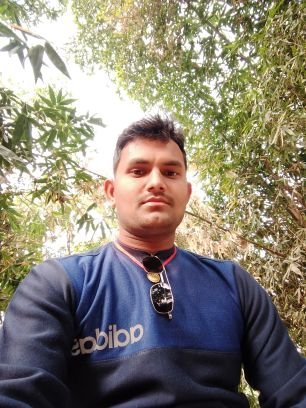 VikashY05799379's profile picture. student