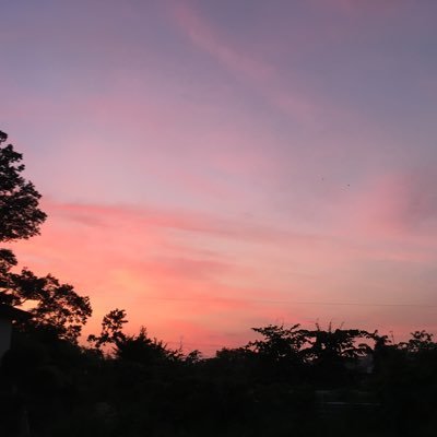 空の景色、花のある風景が好き。自然に癒されています。本好き。子どもたちに本を届けたい。読み聞かせ活動中。自閉っ子(知的障害あり)の母。東北在住。