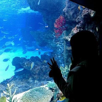 明治座の亡霊( ᜊ°-° )ᜊ