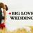 bigloveweddings's profile image