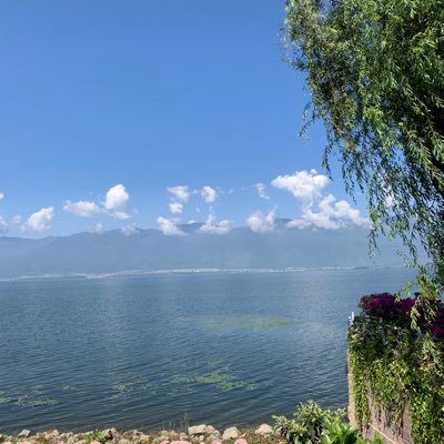 hvxstw038282's profile picture. 老汉推车……