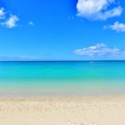 levelupenglish1's profile picture. 英語教育に関する情報収集