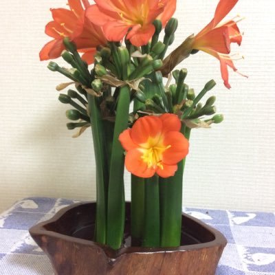 tomitomi803's profile picture. 