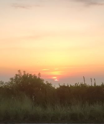 Panda8015539358's profile picture. 