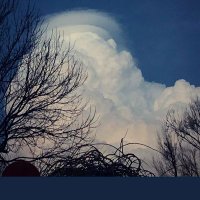 رعد المزون (@zxxx18917339) Twitter profile photo