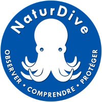 NaturDive(@NaturDive) 's Twitter Profileg