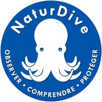 NaturDive (@naturdive) 's Twitter Profile