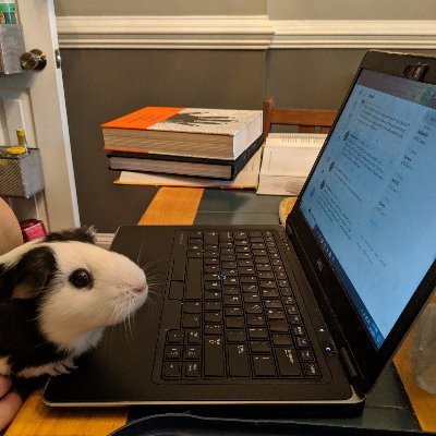 Librarians gonna library. Slavic & East European Studies Librarian @ U Chicago. May be guinea pig at a computer.