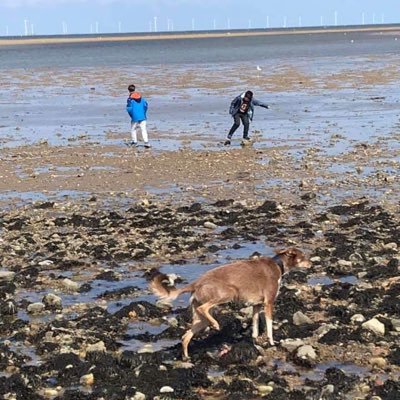 StillSteph114's profile picture. European, Feminist