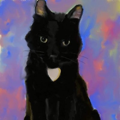 catcastletails Profile Picture