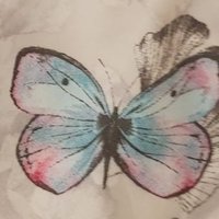 Jenny McClinton - Jenny Lou's Book Reviews 💜 (@mcclintonjenny) 's Twitter Profile
