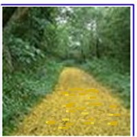 We have helped thousands of children out of poverty and ignorance. One must always give them something to look forward to. Hence Yellow Brick Road.