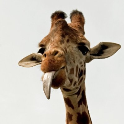 xLJbPg1IFoZJqZJ's profile picture.