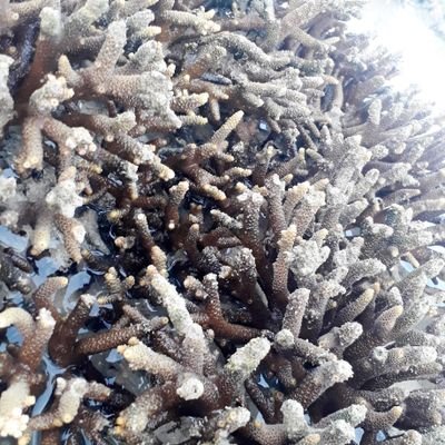 nRA8YXCwHq131Ue's profile picture. สาวสองใครจะกล้า