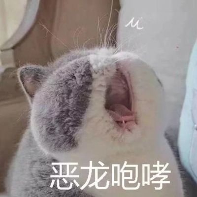 xiaotoumingbb's profile picture. 