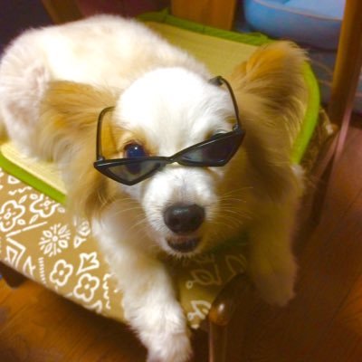38pg_miya's profile picture. 見る方が多いアカ。ポルノグラフィティ応援。VTR-F乗り。