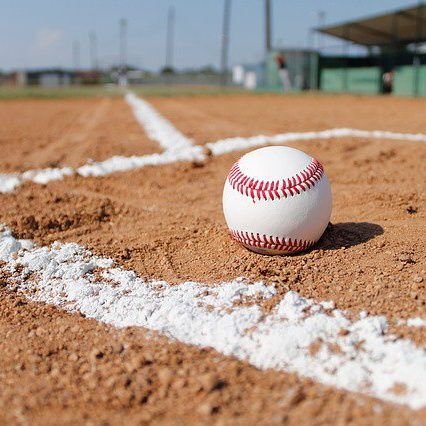 Dad, coach, umpire, all things baseball.