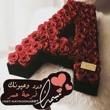 AnharMohammed9's profile picture. 