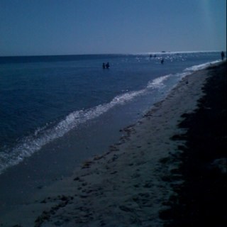 KellyHiltner's profile picture. 