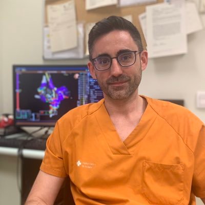Cardiac Electrophysiologist at Vall d'Hebron University Hospital. Vall d'Hebron Research Institute. Autonomous University of Barcelona. CIBER-CV.