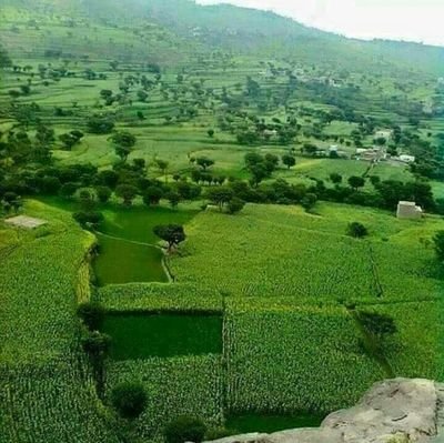 thabethomadi201's profile picture. للكلمة ثمن