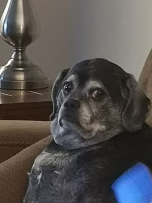 Klinker71244727's profile picture. Retired and loving it.  Love golf and watching my kids succeed