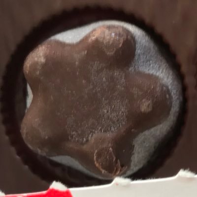 golgonzola02's profile picture. AnotherVision10期/東京大学奇術愛好会22期 理物/#ゴクアクラボ　#アナビデリバリー