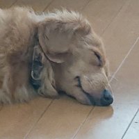 じゅんじ (@junji_0123) 's Twitter Profile