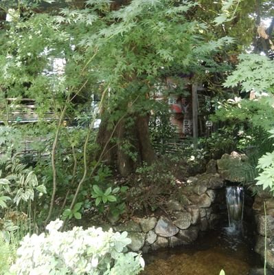 gnwldhkfk's profile picture. 地方の私大職員