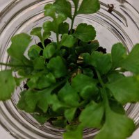 Dr. Katie Sagal ๐ฟ๐บ๐ (@aksagal) 's Twitter Profile Photo Dr. Katie Sagal ๐ฟ๐บ๐ (@aksagal) 's Twitter Profile Photo