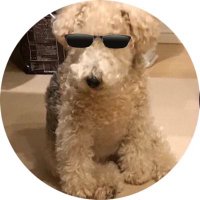 ぐー (@yutoguran) Twitter profile photo