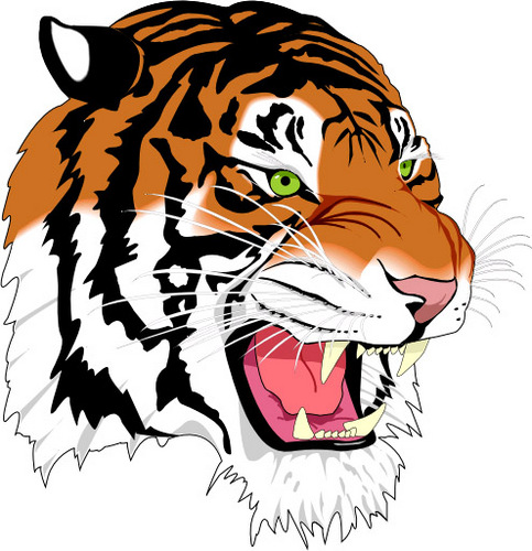 St. John's Tigers