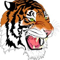 St. John's Tigers (@stjhstigers) 's Twitter Profile