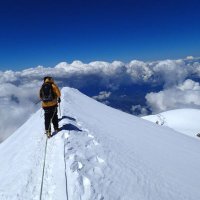 PeakOfTruth (@peakoftruth) 's Twitter Profile
