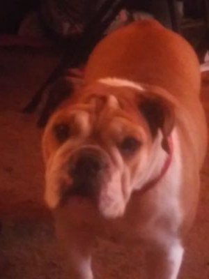 cloudtail1028's profile picture. hi