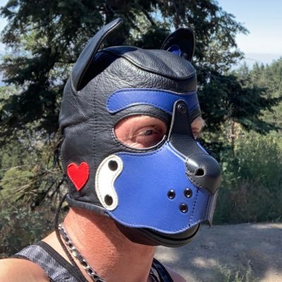 Pup_Timber_ Profile Picture