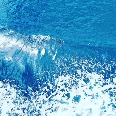 sumahobeginner1's profile picture. ただのパンピーです