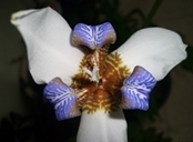 youngtree2's profile picture. 산과 들을 지나는 기분이 상쾌하다.