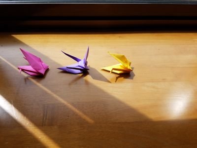 若年性乳がん2018年5月に右全摘手術→抗がん剤治療(EC→タキソテールとハーセプチン、パージェタ)/HBOC/RRSOを2019年10月済み/RRM2020年11月済/乳がん婦人科経過観察中/同病の方と繋がりたいです/無言フォローすみません💦