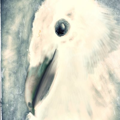 WroteWhiteRaven's profile picture. #FreelanceWriter; #Blogger @Medium @theAscentPub and P.S. I Love You; Artist;