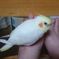 ゆみこ (@oieixcswyurs7as) 's Twitter Profile Photo