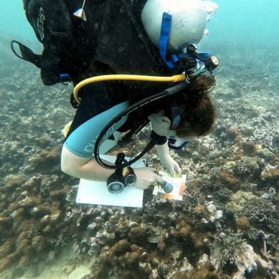 Stephloupoole's profile picture. Field Assistant GVI Cap Ternay, Seychelles.   BSc Wildlife Conservation from Harper Adams University. PADI DM, PADI CRRD, ILM & BIOST.