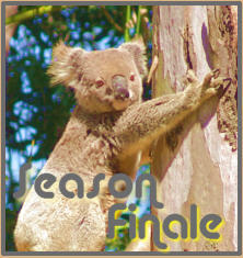 Series Season Finale on DVD at http://t.co/Xapky8olwA Your Favorite Shows on DVD to Keep for Ever in Pride of Place in your collection.DVDClassics