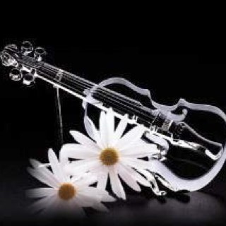 Pallimar's profile picture. 