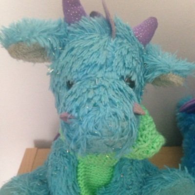 I'm Rory. A blue dragon from the UK. I live in the Hug Cave with @LilyPlushLife and my Humum @BeckyLTomlinson. I love going on adventures and making friends. 🐉