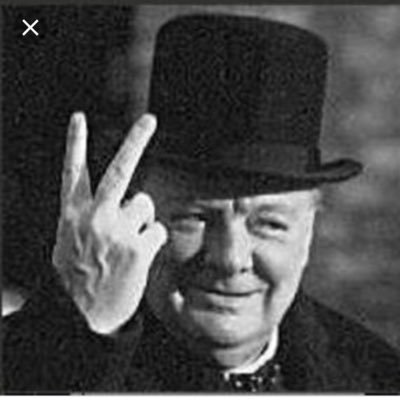 Deal in art and antiques. Patriot so Right Wing apparently🙄. Dislike hypocrisy and dishonesty and too much government. Dogs Countryside Brexit - NO DMs