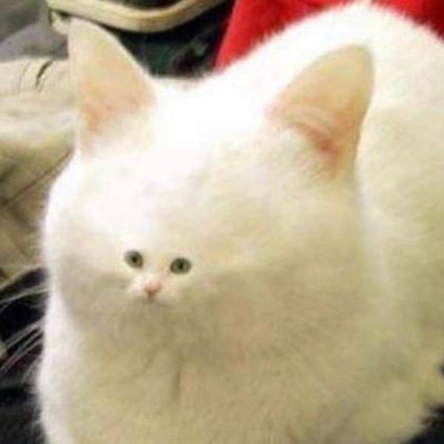 Ba4ki's profile picture. 