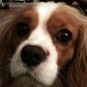 David Fulbrook - @Daveo104 - Twitter